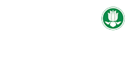 banner in